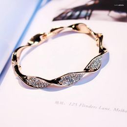 Bangle Charm Crystal Bracelets For Women Rose Gold Silver Colour Fashion Twisted Wave Wedding Jewellery Cll00228 SSB