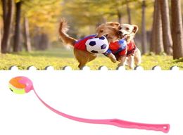 Dog Toys Chews Pet Tossing Toy Ball Club Dog Training Fluorescent Thrower Outdoor With Tennis Training Throwing Toy Pet Interactiv6312263