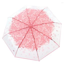 Umbrellas Manual Korean Umbrella Folding Cute Mini Fresh Simple Sen Series Trifold Japanese Cherry Blossom Transparent