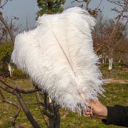 Vases Clored Ostrich Feathers 15 18 Decoration for Crafts Wedding Party Home Carnival Craft Plumes Accessories 10 Pcs Wholesale 231030