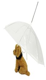 Dog Apparel Legendog Est Handle Transparent Pet Umbrella With Leash For Rain Walking Umbrellas Waterproof Products276Z2045439