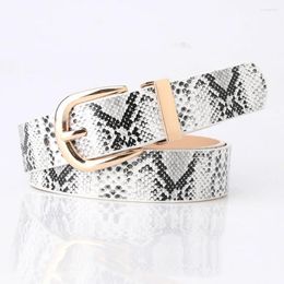 Belts Trendy Ladies Snake Belt Fashion Design Heavyweight Quality Travel To Work Gold Pin Buckle Length 105CM Width 2.4CM 323