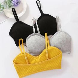 Camisoles Tanks Ribb Strick Schönheit Rücken nahtloser BH Bralette Frauen Sport sexy gepolsterte schockdes Brassierer für Top -Unterwäsche