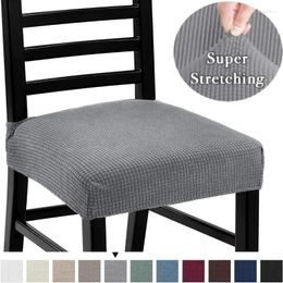 Chair Covers Waterproof Cover Spandex Jacquard Anti-Dust Cushion Case Stretch Dining Room Slipcovers Seat Pad Decor
