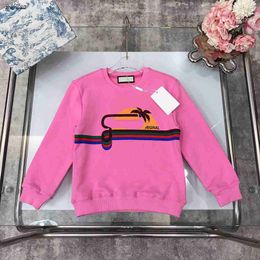 Luxury round neck hoodie for baby Complete labels kids sweater Size 100-150 Multi Colour striped printing children pullover Oct25