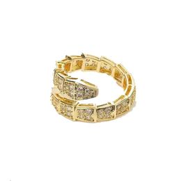 Band Rings Fashion Classic Serpentine Adjustable Ladies highend jewelry lovers