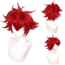 30cm Reki Cosplay Wig Red Short Straight Hair Anime Halloween SK8 the Infinity Heat Resistant Hairs Wigs C30M123