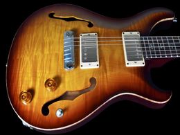 Hot sell good quality Electric Guitar HOLLOWBODY I FLAME TOP ~ BIRDS! WOW! Musical Instruments