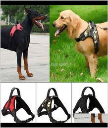 4 Styles Pet Collar Large Dog Soft Saddle Adjustable Harness Belt Walk Vest Out Outdoor Hand Strap Eea382 20Pcs Cclqs Ceewh1025889