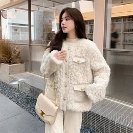 Womens Fur Faux Lambswool Jacket Women Fashion Single Breasted Padded Coat Thick Warm Loose Elegant Furry Office Lady Casual Tops 231031