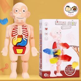 Blocks Cartoon Human Organ Model Children Enlightenment Science And Education DIY Assembly Puzzle Toy Memory training 231030