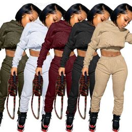 2023 Sweatpants Womens Joggers Set Plain 2 Piece Crop Top Tracksuit Sets Women Sweat Pants Set Fall Two Piece Jogger with Hoodie