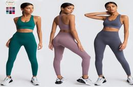 Women039s Yoga Set Seamless Sportswear 2Piece Gym Yoga Clothes Sports Bra Leggings Running Wear Skinny Sports Suits Dropshippi3055695