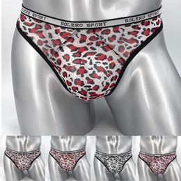 Underpants Sexy Leopard Bikini Thongs Men's Underwear Low-rise Briefs Gays Fashion G-Strings Stretchy Tangas Lingerie Bulge U Pouch