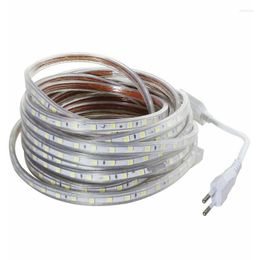 Strips AC 220V LED Strip Light IP67 wasserdichte SMD Flexible EU -Netzstopfen 60LED/M 1M 2M 3 m 5 m 10 m 15 m 20 m Innen im Freien