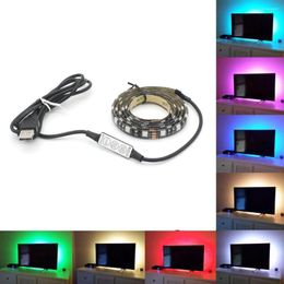 Strips 5V RGB LED Strip Lights Flexible Waterproof Tape Diode With Mini USB Controller For TV Background Lighting Home Decor Lamp