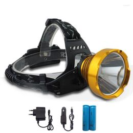 Headlamps Portable 8w 1600 Lumen Led Headlampe Frontale Lantern Headlight Head Lamp For Outdoor Camping Hiking Fishing