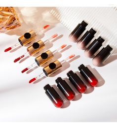 Lip Gloss 2 In 1 Rotating Double Head Long Lasting Matte Red Colour Glaze Liquid Lipstick Tint Makeup Cosmetics TSLM1