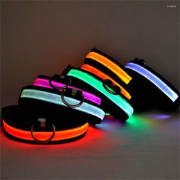 Dog Collars Pet Supplies LED Cat Collar Luminous Safety Glow Necklace Flashing Lighting Up For Puppy Small Medium Large Dogs