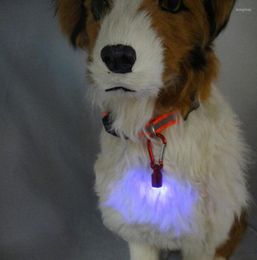 Dog Collars 1PC Mini LED Pet Collar Pendant Flashing Night Light Safety Supplies Accessories Portable Keyring Flash Toy