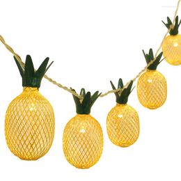 Strings 220V 5M Metal Mesh Pineapple Fairy String Light DIY 20 LED Christmas Party Bedroom Birthday Garland