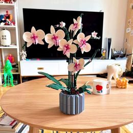 Blocks 10311 711pcs Ideas DIY Flowers Bouquet Botanical Butterfly Orchid Bricks Potted Plants Model Building Toys Gifts Ornament 220902