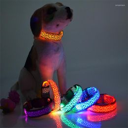 Dog Collars Leopard LED Collar Solid Color Nylon Band Pet Flashing Night Light Up Lead Necklace Adjustable 100pcs/lot