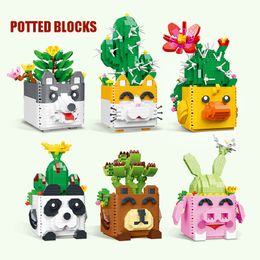 Blocks Potted Building Flower Cartoon Panda Erha Piglet Pot Cactus Succulent Model Brick Children s Toy Gift 220902