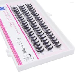 False Eyelashes 20D Cluster Makeup Ciliary Extension Natural 60 Pieces Premium Mink Individual Dovetail