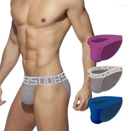 Underpants Low Waist Men Underwear Briefs Cotton Sexy Men's Panties Breathable Male Mens Underware High Fork Gay BS3125