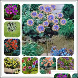 Garden Decorations 100Pcs/Set 20 Kinds Dahlia Garden Dwarf Tree Flower Drop Delivery 2021 Home Patio Lawn Bdesybag Ot1Fl