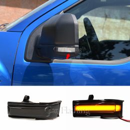 2PCS LED Side Wing Dynamic Turn Signal Flowing Rearview Mirror Light For Ford F150 2015 2016 2017 2018 2019 2020