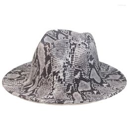 Berets fedora hat hat hip Женщины мужчины змея печати широкая края панам