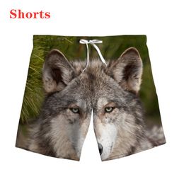 Men's Shorts New Animal Wolf 3D Printing Fashion Women Tracksuits Plus Size S-7XL Harajuku