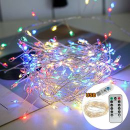 3M 5M Copper Wire LED String USB Remote Control Lights Firecracker Fairy Garland Lamp for Christmas Window Wedding Party Decor D2.5