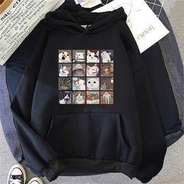 Men's Hoodies Sweatshirts Meme Cats Puzzle Hoodie Harajuku Print Men's Hoodies Street Korean Men Sweatshirts Long Sleeve Punk Pullover Mens Rock Clothes 220905