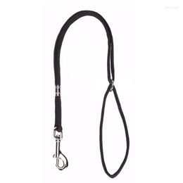 Dog Collars Pet Cat Animal Noose Loop Lock Clip Rope For Grooming Table Arm Bath 52cm