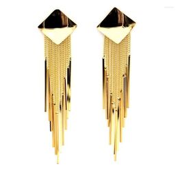 Dangle Earrings Metal Tassel Long For Women Party Jewellery Bijoux Street Style