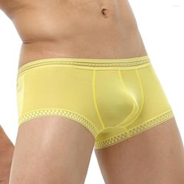 Underpants Men Underwear Brief Men's Panties Translucent Large Size Shorts With Print Low-Rise U Pouch Mens Boxers