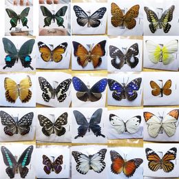 Decorative Objects Figurines 38 Real Butterfly Specimens Insect Production Charm Home Decoration Accessories for Living Room Collection Art 220906