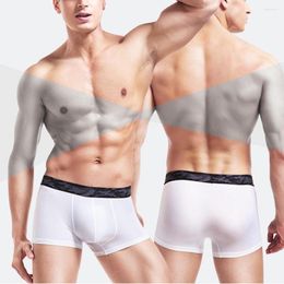 Underpants Sexy Men Underwear Boxer Shorts Ice Silk U Convex Soft Thin Elastic Quick Dry Breathable Male Cueca Men's Brief