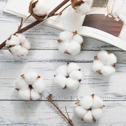 Faux Floral Greenery White Cotton Head Artificial Flowers Diy Christmas Wreath Accessories Home Natural Dried Flower Garland Flower Wall Material J220906