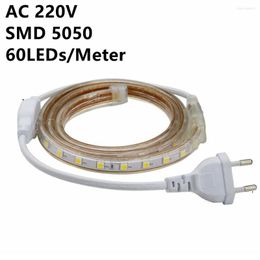 Strips Super Bright SMD Dimmable AC220V LED Strip Light 1M/5M/10M/15M/20M/25M/50M/100M Kitchen Outdoor Garden Lamp Tape