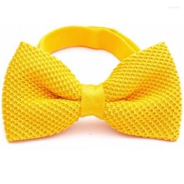 Bow Ties HOOYI 2022 Solid Yellow Men's Wool Tie Neckties Knitted Butterfly