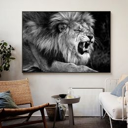 Cavans Painting African Ferocious Lion Showing Sharp Teeth Poster and Prints Wall Art Picture for Living Room Home Decor Cuadros
