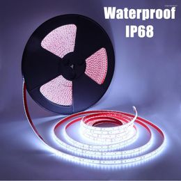 Strips DC 24V Waterproof IP68 LED Strip Light High Brightness SMD 2835 Flexible Lights 120LEDs/M Outdoor Home Decoration 5m 10m 15m 20m