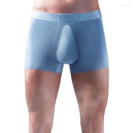 Underpants Man 3D Crotch Boxers Latex Penis Pouch Breathable Underwear Seamless Modal Copper Anti-Bacterial Lingerie Ropa Interior Hombre