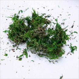 Faux Floral Greenery 40 gbatch artificial flower green moss simulation plant peat decoration floral decoration material DIY potted plants moss J220906