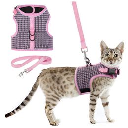 Cat Costumes Pet Cat Walking Harness Vest Leash Safe Chest Strap Padded Breathable Training Decoration Traction Rope Clothes Accessories 220908