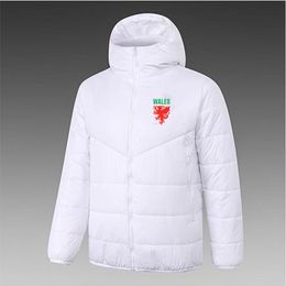 Wales Men's Down hoodie jacket winter leisure sport coat full zipper sports Outdoor Warm Sweatshirt LOGO Custom